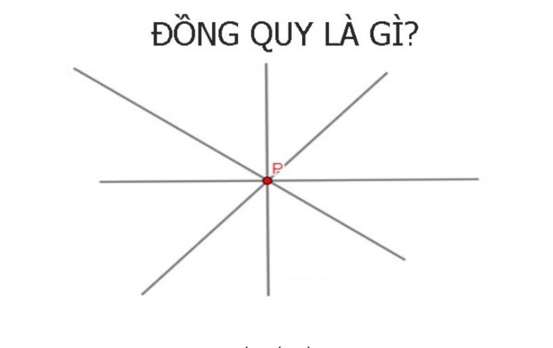 Dong Quy La Gi 1